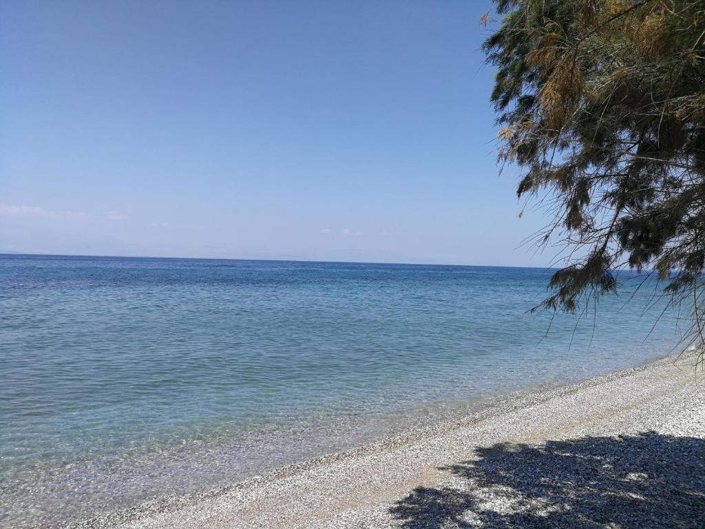 Angel's Place by the Sea room 1