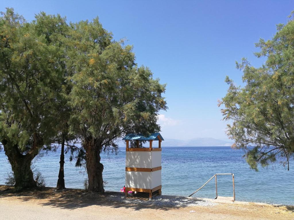 Angel's Place by the Sea room 2